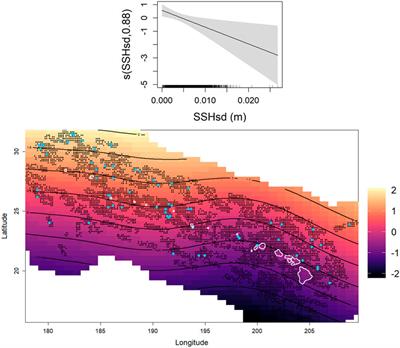 Examining distribution patterns of foraging and non-foraging sperm whales in Hawaiian waters using visual and passive acoustic data